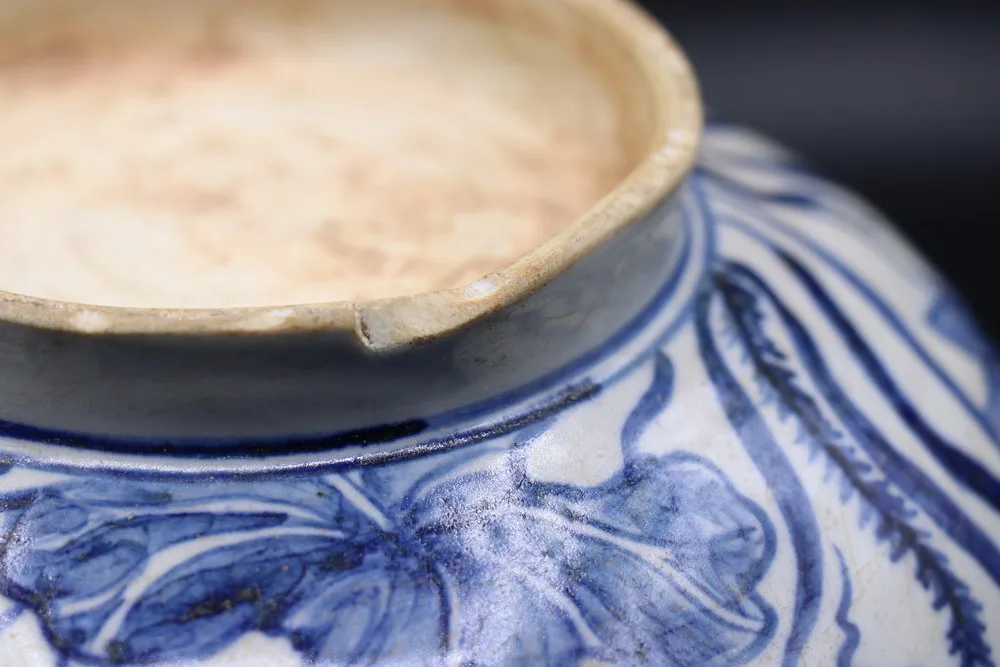 Yuan Dynasty Blue and White Porcelain Bowl with Fish and Lotus, view 2